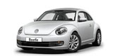 Beetle '12-19